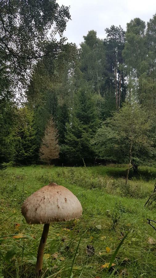 Przystan Kapitanat Leilighet Szczecinek Eksteriør bilde